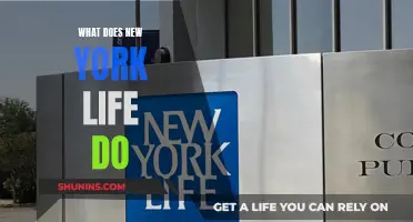 New York Life: Insurance, Retirement, and Financial Services