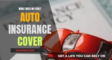 Auto Insurance: No-Fault Cover Explained in Simple Terms