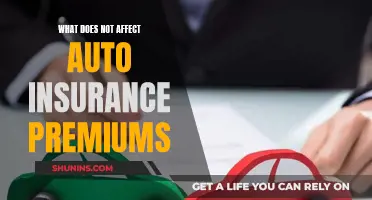 Factors Unrelated to Auto Insurance Premiums