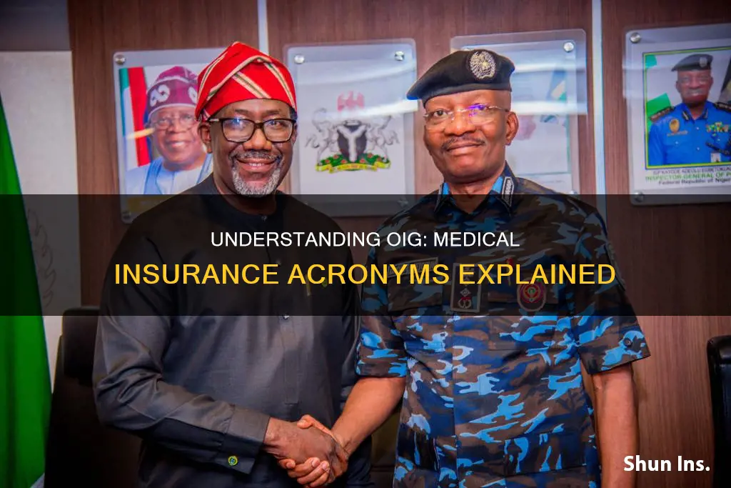 what does oig stand for in medical insurance terms