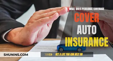 Personal Auto Insurance Coverage: What Does It Include?