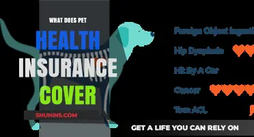 Understanding Pet Health Insurance: Coverage, Benefits, and What's Included