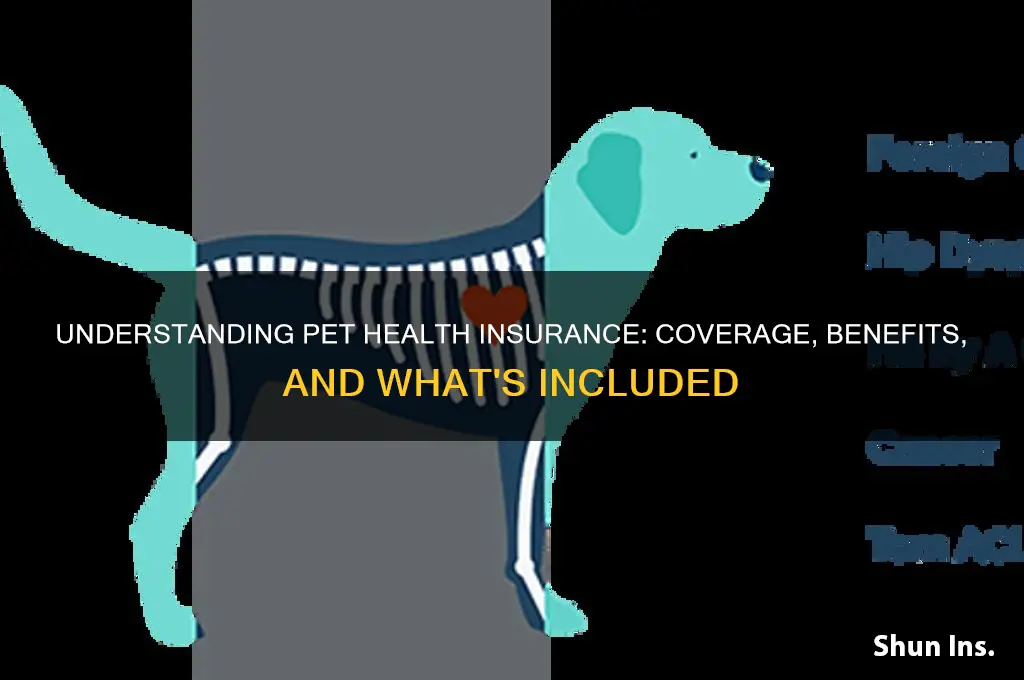 what does pet health insurance cover