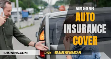 PLPD Auto Insurance: What Does It Cover?