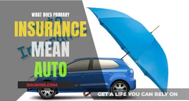 Understanding Primary Insurance Coverage for Your Vehicle