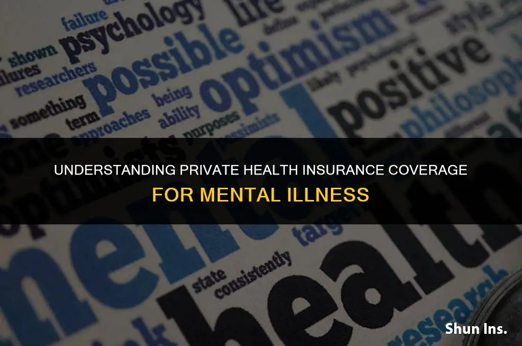 what does private health insurance cover for mental illness
