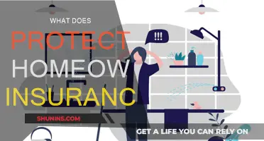 Homeowner Insurance: What Does It Cover?