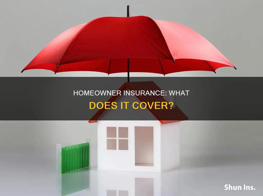 what does protect homeowner insurance