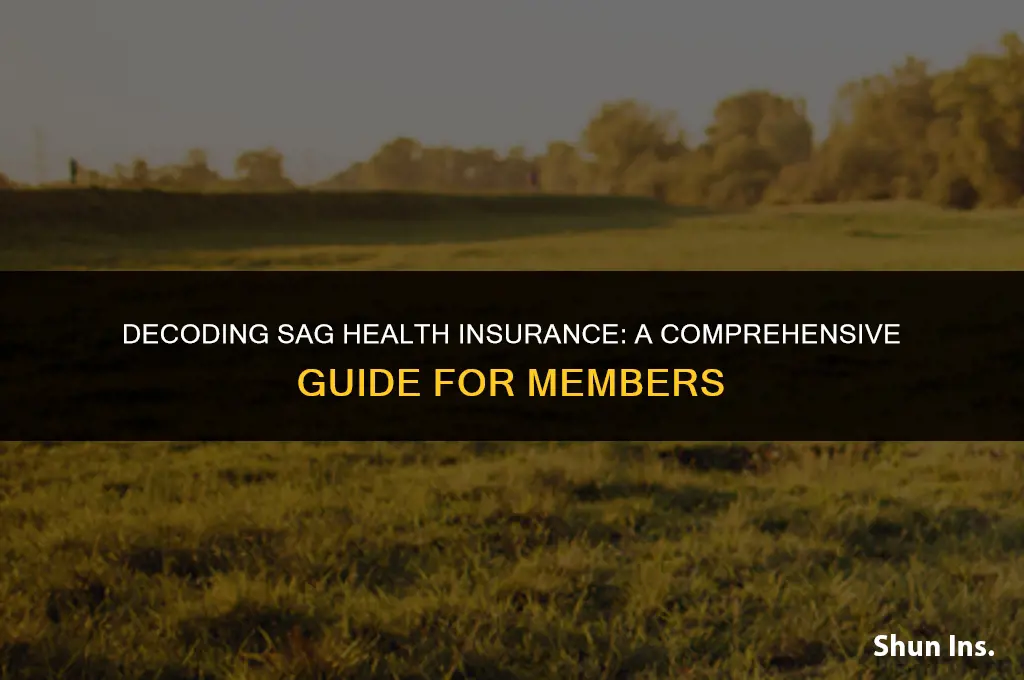 what does sag health insurance stand for