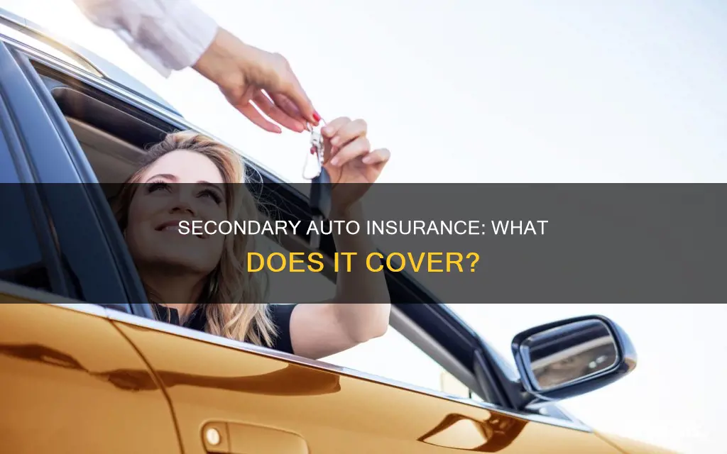 what does secondary auto insurance mean