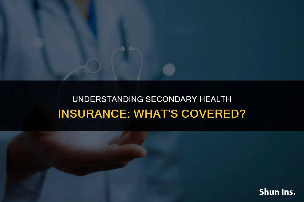 what does secondary health insurance cover