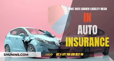 Understanding Auto Insurance: Shared Liability Explained