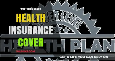 Understanding Silver Health Insurance: Coverage and Benefits Explained
