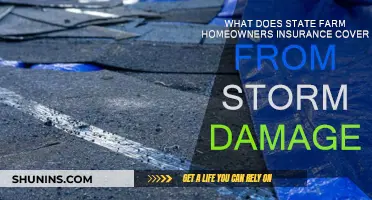 State Farm: Storm Damage and Your Home Insurance