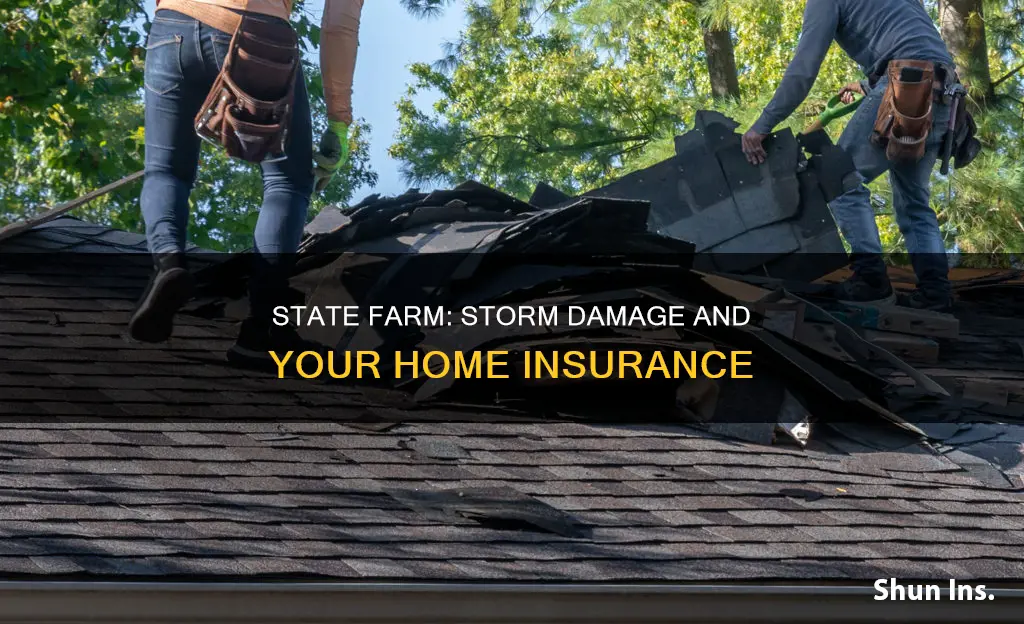 what does state farm homeowners insurance cover from storm damage