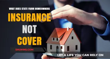 State Farm Home Insurance: What's Not Covered?