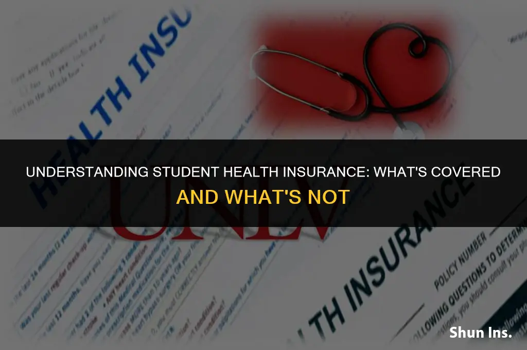 what does student health insurance cover