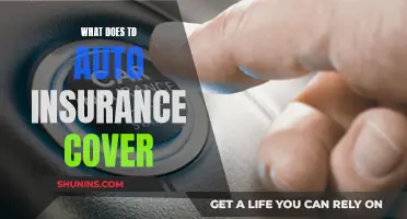 Understanding TD Auto Insurance Coverage: What's Included?