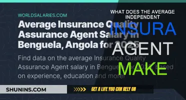 How Much Do Independent Insurance Agents Earn Annually?