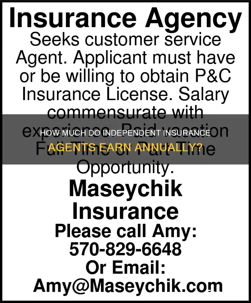 what does the average independent insurance agent make