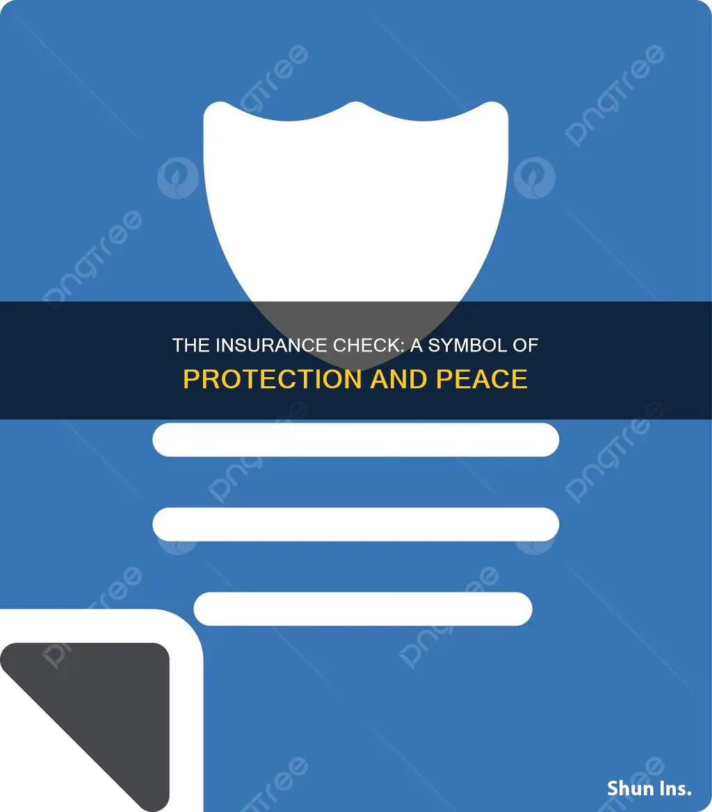 what does the insurance check most likely symbolize apex