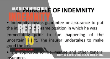 The Intricacies of Indemnity: Unraveling the Core Concept of Insurance