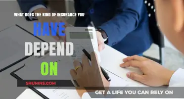 Insurance Type: It Depends on Your Needs