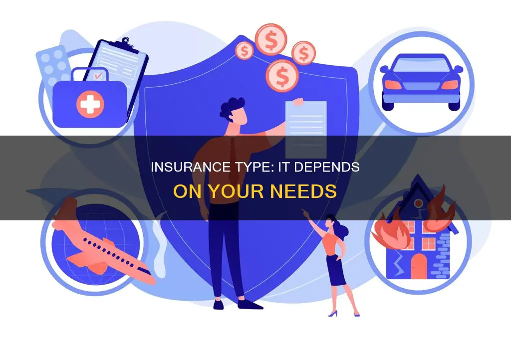 what does the kind of insurance you have depend on