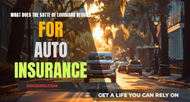 Louisiana Auto Insurance: What Are the State Requirements?