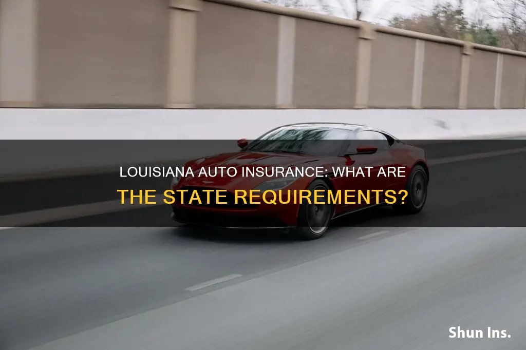 what does the satte of louisiana requier for auto insurance