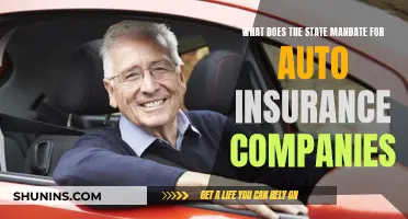 Auto Insurance: State Mandates and Your Coverage