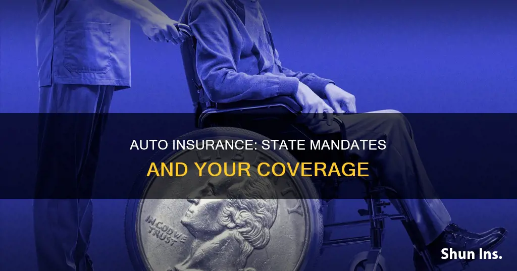 what does the state mandate for auto insurance companies