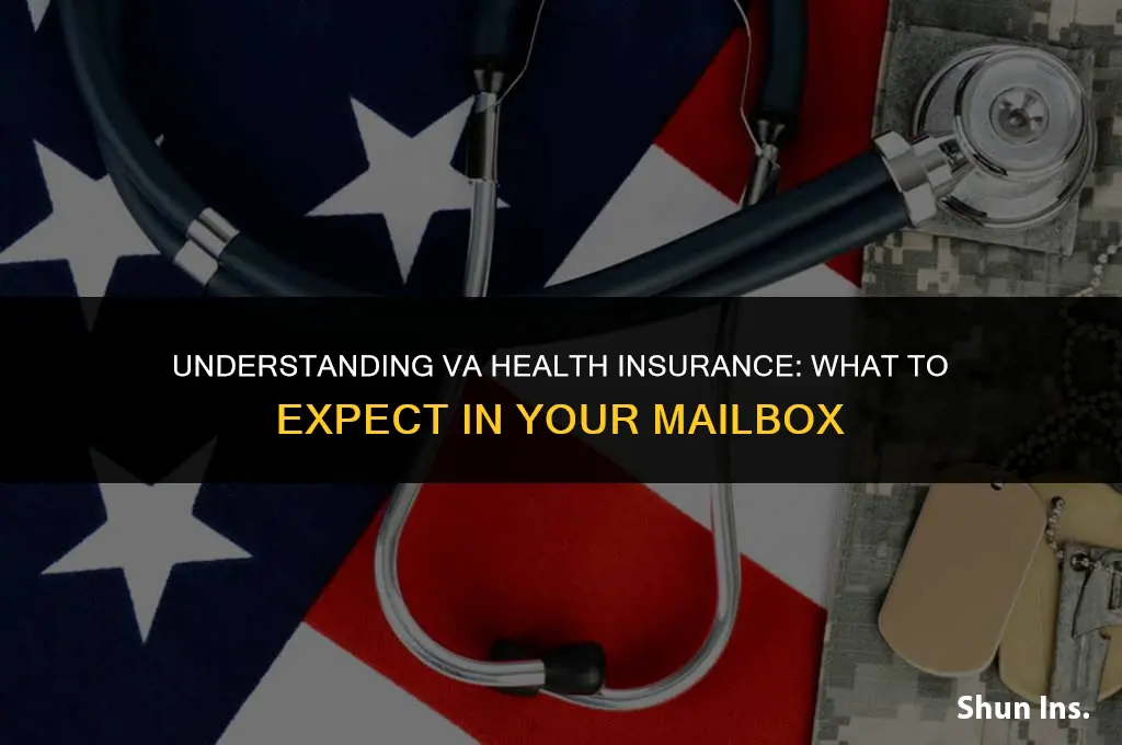 what does the va send out for health insurance
