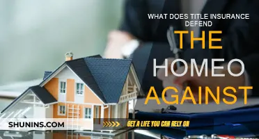 Title Insurance: Protecting Homeowners Against Property Ownership Risks