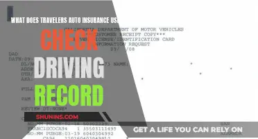 Travelers Auto Insurance: Driving Records Examined