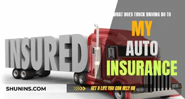 Truck Driving: Auto Insurance Impact and Implications