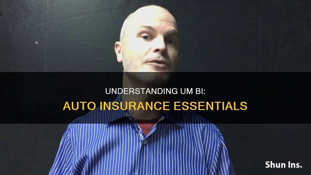 what does um bi mean for auto insurance