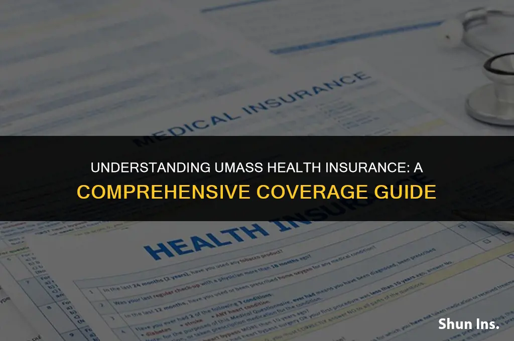 what does umass health insurance cover