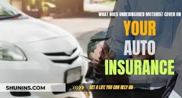 Underinsured Motorist Coverage: What It Means for Your Auto Insurance