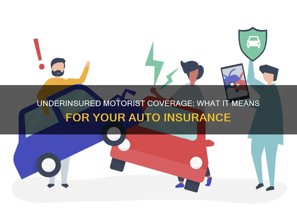 what does underinsured motorist cover on your auto insurance