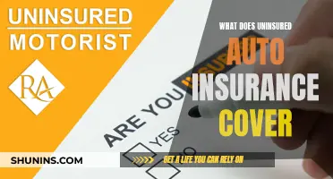 Understanding Uninsured Auto Insurance Coverage: What's the Deal?