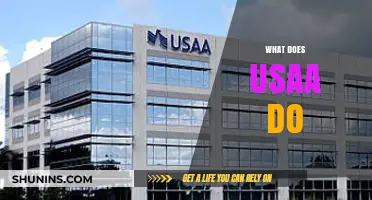 Understanding USAA: Services, Benefits, and Membership Explained Simply