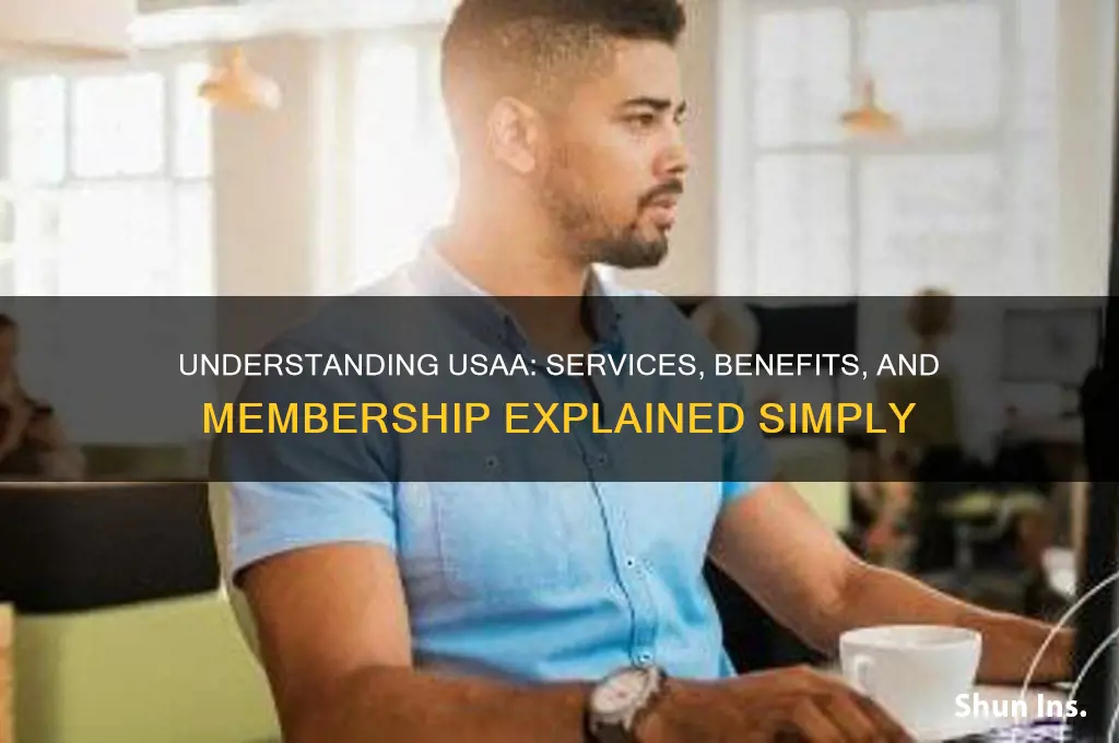 what does usaa do