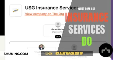 Unraveling USG Insurance Services: A Comprehensive Guide