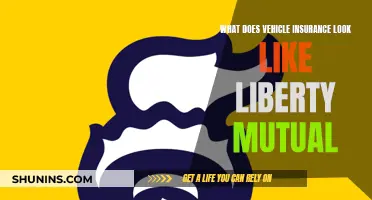 Liberty Mutual: Vehicle Insurance Explained