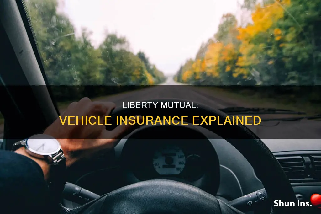 what does vehicle insurance look like liberty mutual