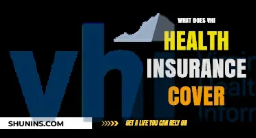 Exploring the Comprehensive Coverage of VHI Health Insurance