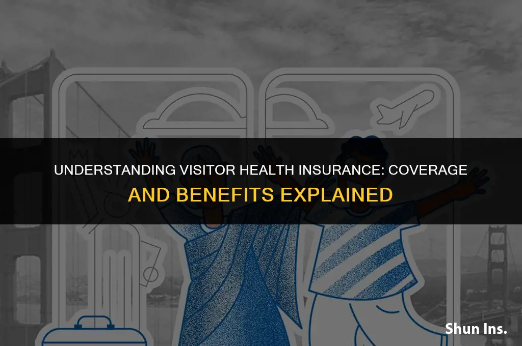 what does vistor health insurance cover