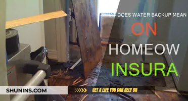 Water Backup: What's Covered by Your Home Insurance?