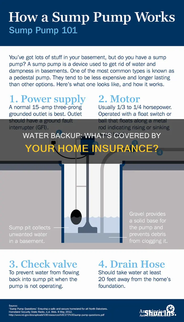 what does water backup mean on homeowners insurance